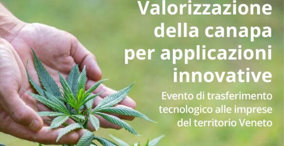 Evento 12 dicembre: valorizzazione della canapa per applicazioni innovative